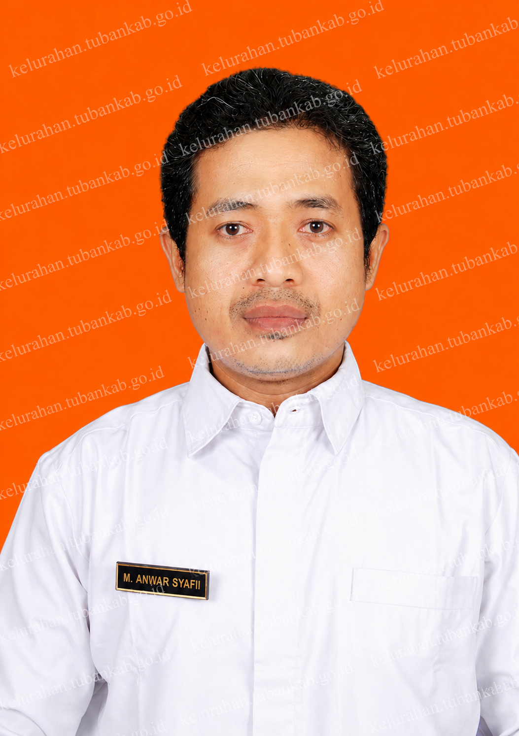 M. ANWAR SYAFI'I